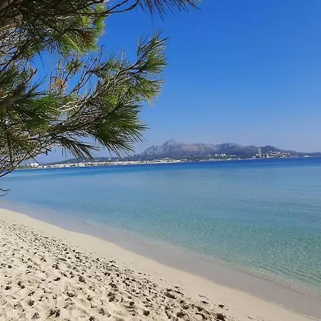 Francesca With Pool In Playa De Alcudia (Mallorca)